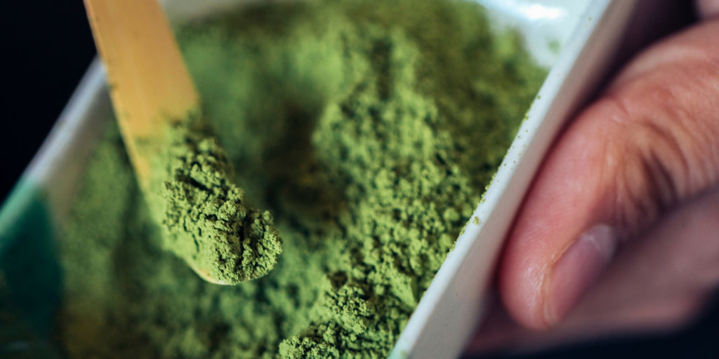 5 Pro Tips For Finding High Quality Matcha